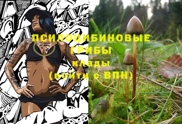 гидра Михайлов